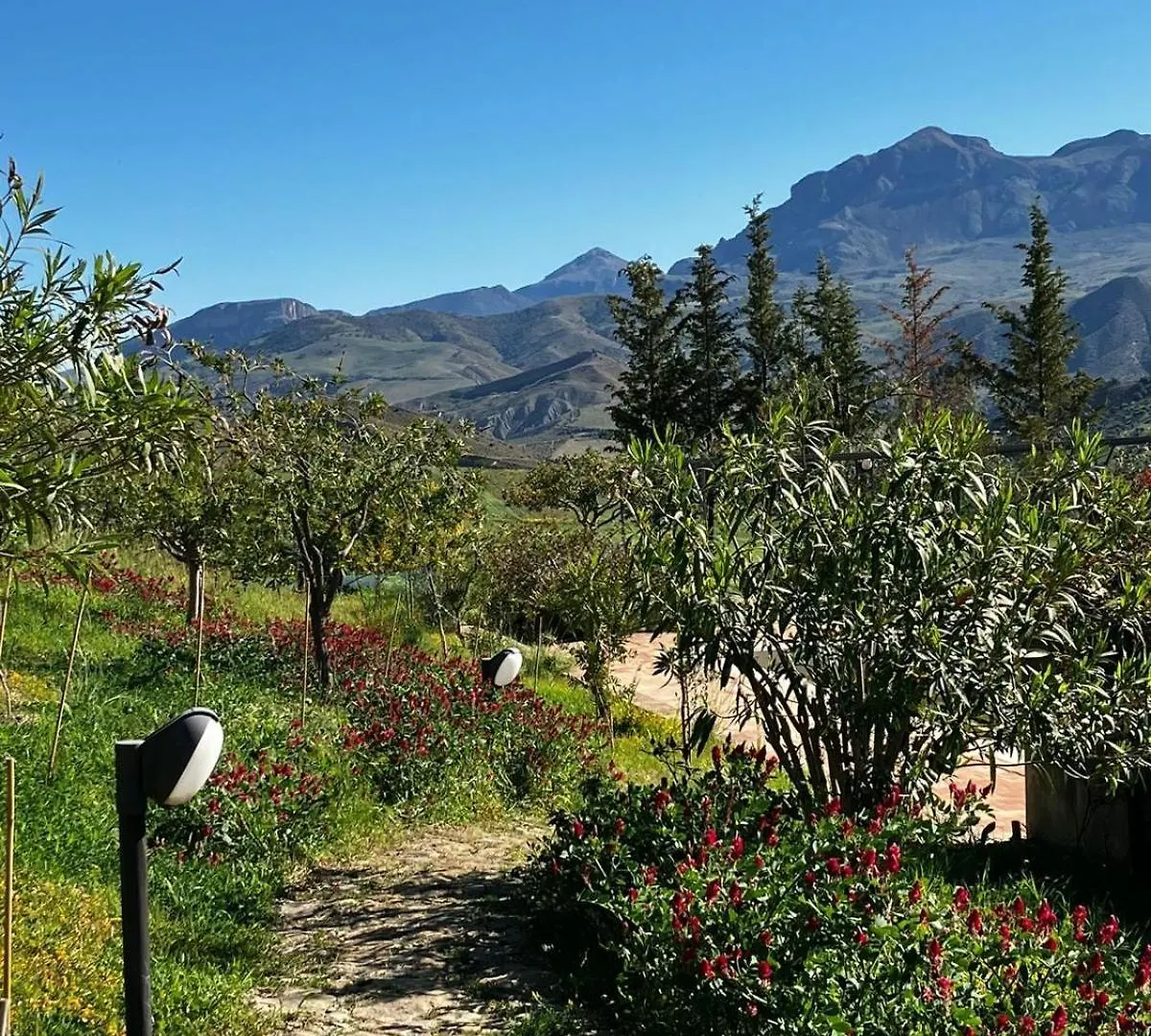 Le Case Di Cardellino - Agrispa Italy