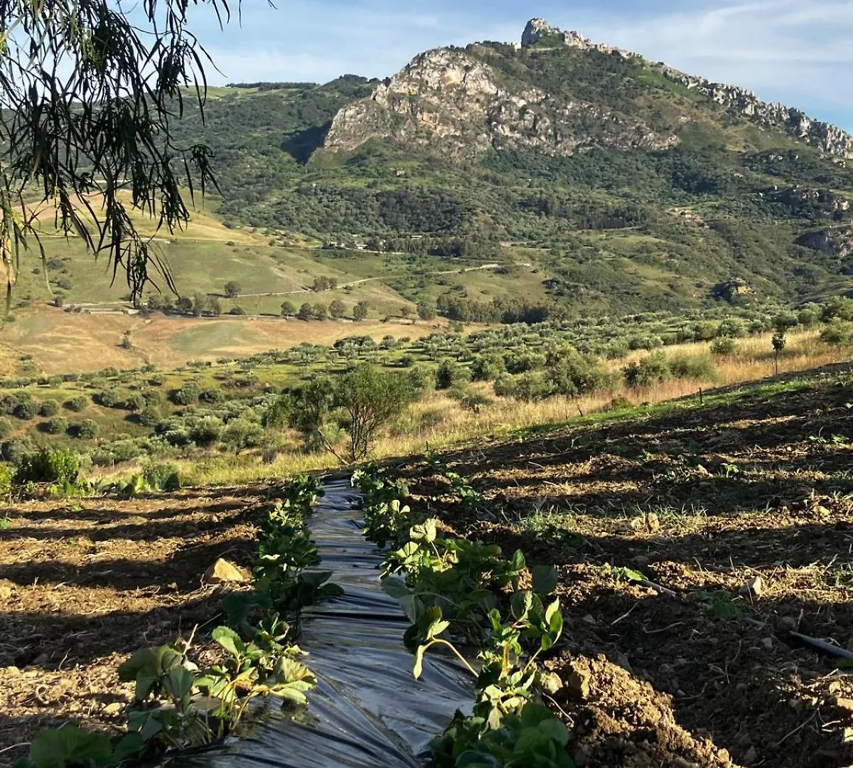 Le Case Di Cardellino - Agrispa Farm stay